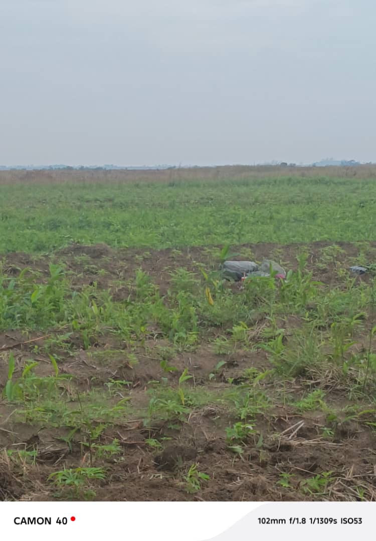 Parcelle-Terrain à Vendre – Maluku, Kinshasa