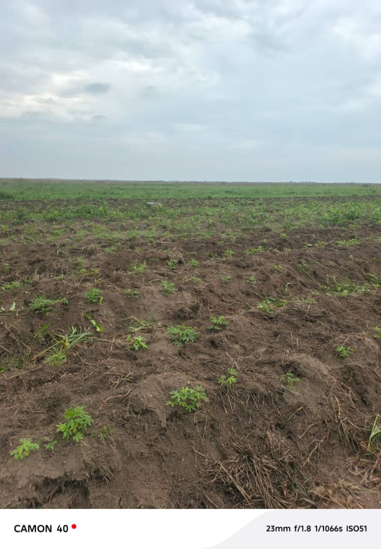 Parcelle-Terrain à Vendre – N’Sele, Kinshasa