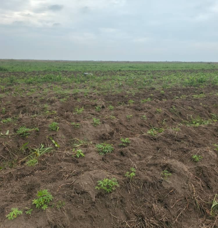 Parcelle-Terrain à Vendre – Maluku, Kinshasa