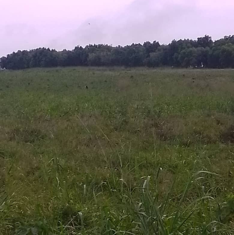 Parcelle-Terrain à Vendre – N’Sele, Kinshasa