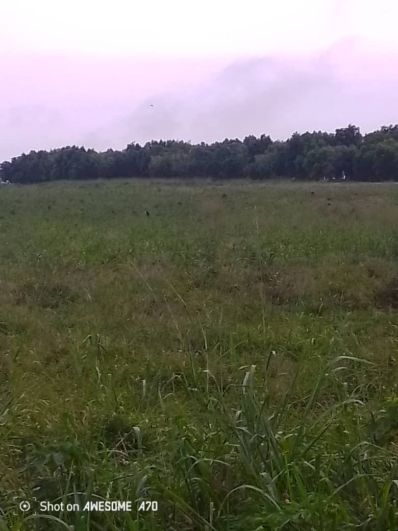 Parcelle-Terrain à Vendre – N’Sele, Kinshasa