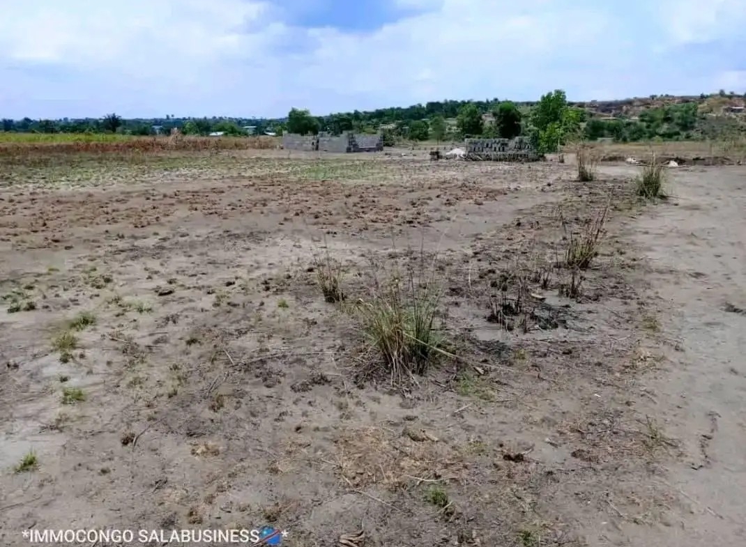 Parcelle-Terrain à Vendre – N’Sele, Kinshasa