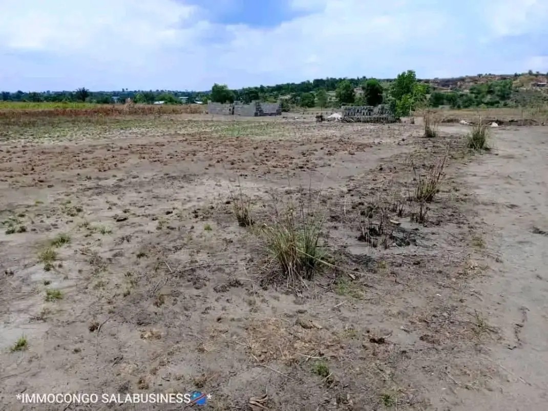 Parcelle-Terrain à Vendre – N’Sele, Kinshasa