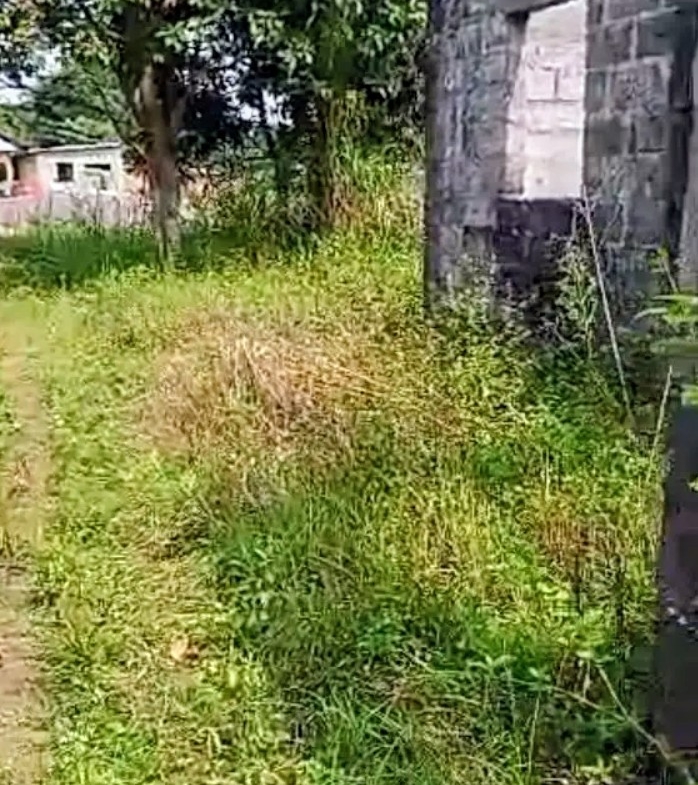 Parcelle-Terrain à Vendre – Menkao, Kinshasa