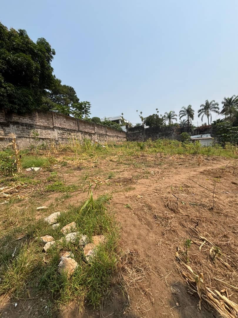 scaled_1006892199 Parcelle-Terrain à Vendre – Macampagne, Kinshasa