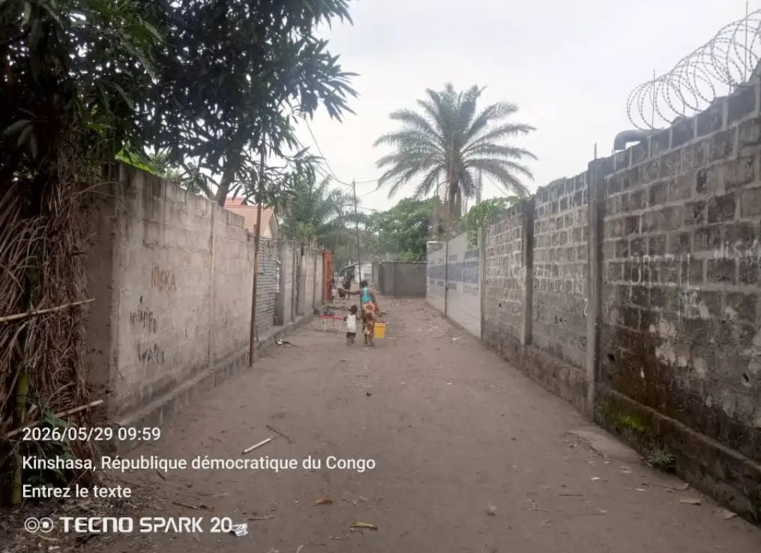 Parcelle-Terrain à Vendre – N’Sele, Kinshasa