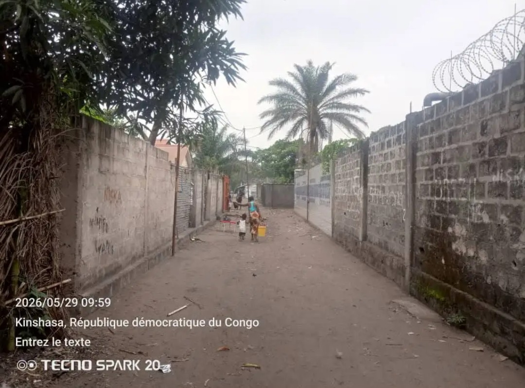 scaled_1007576570 Parcelle-Terrain à Vendre – N’Sele, Kinshasa