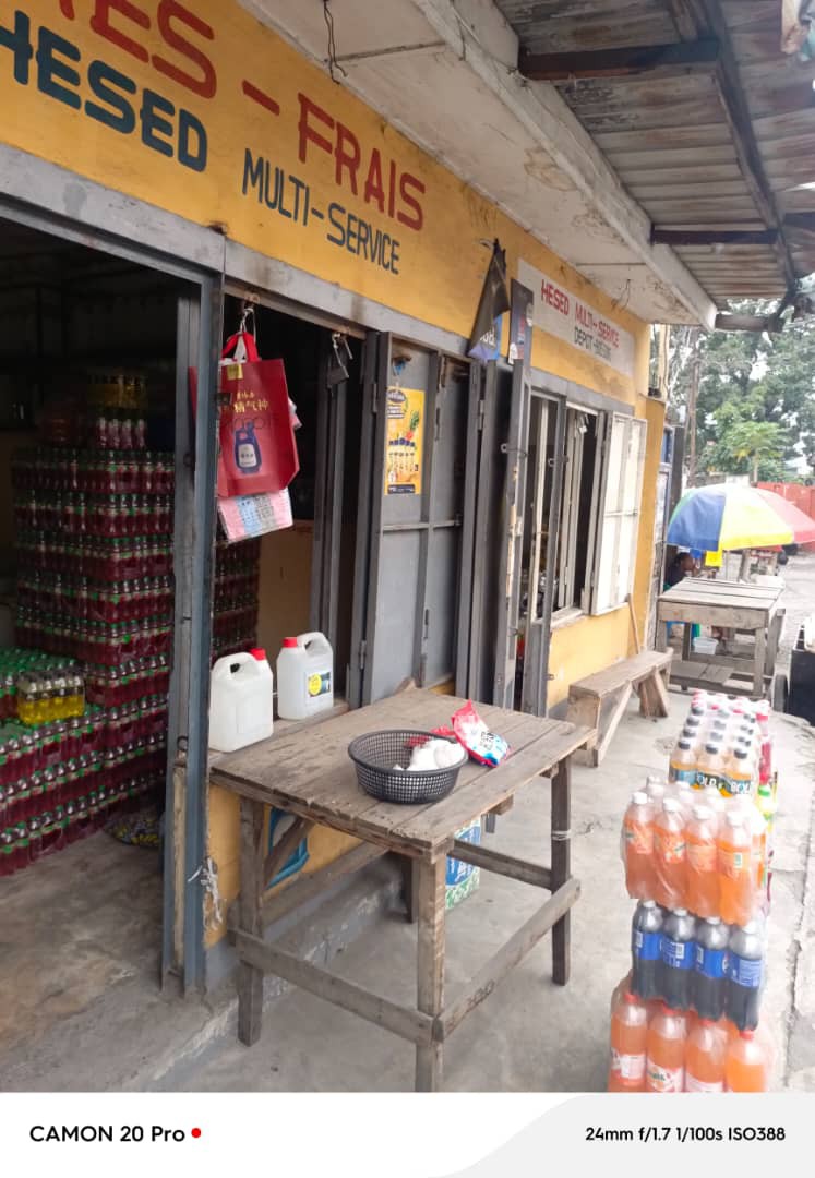 Parcelle-Terrain à Vendre – Limete, Kinshasa