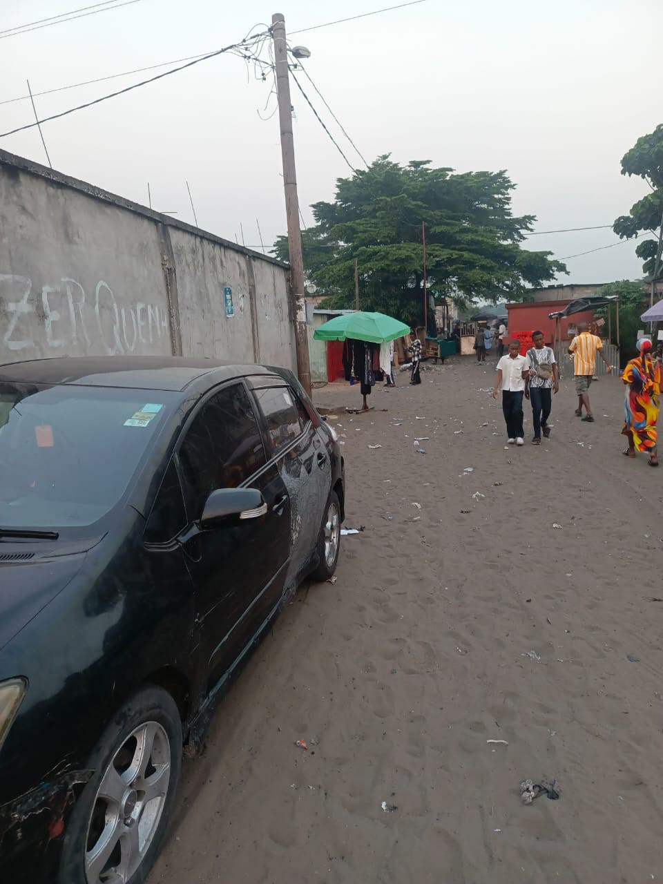 Parcelle-Terrain à Vendre – N’Sele, Kinshasa