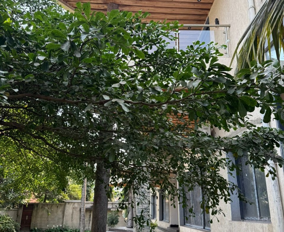 Villa à Vendre – Macampagne, Kinshasa