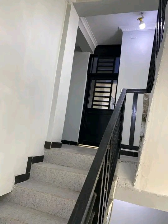 Scaled 1545207