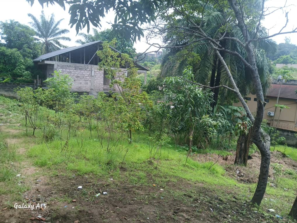 Parcelle-Terrain à Vendre – Macampagne, Kinshasa
