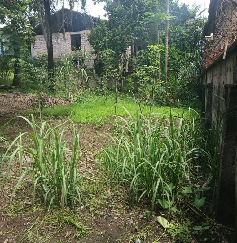 Parcelle-Terrain à Vendre – Macampagne, Kinshasa