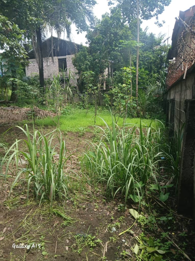 Parcelle-Terrain à Vendre – Macampagne, Kinshasa