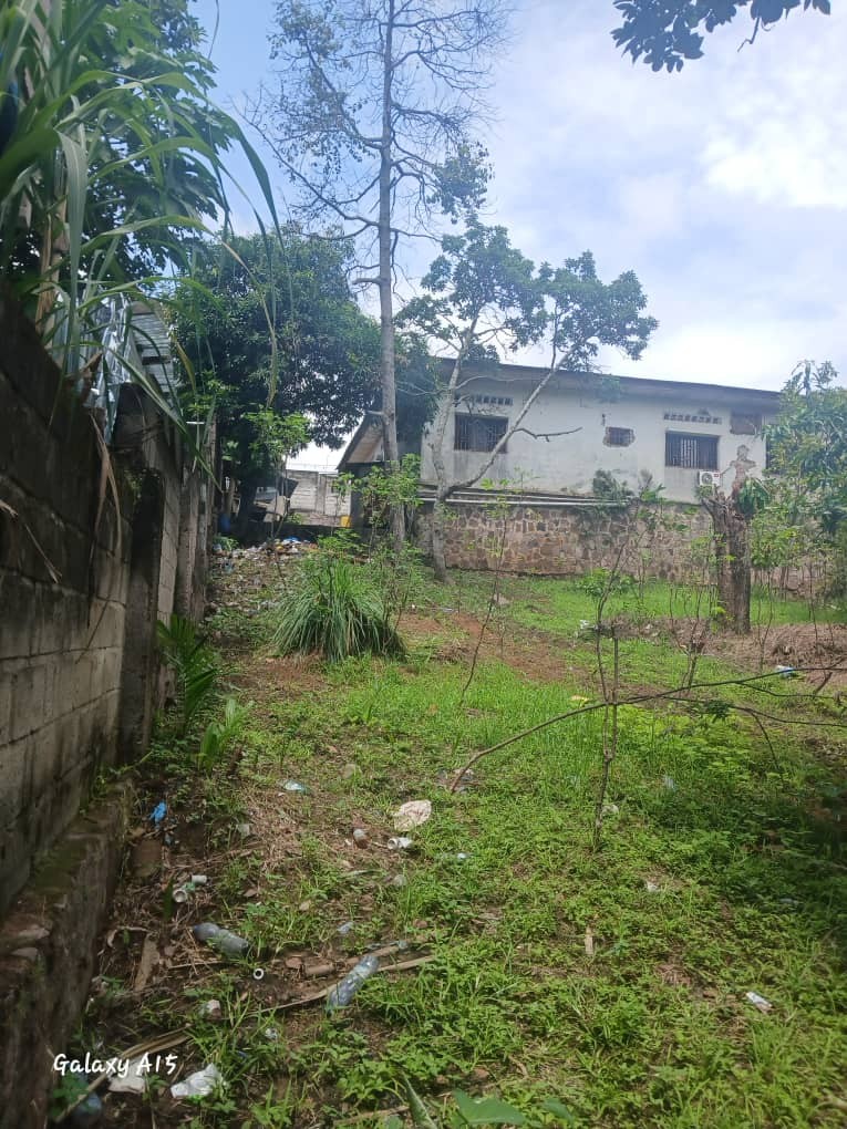 Parcelle-Terrain à Vendre – Macampagne, Kinshasa
