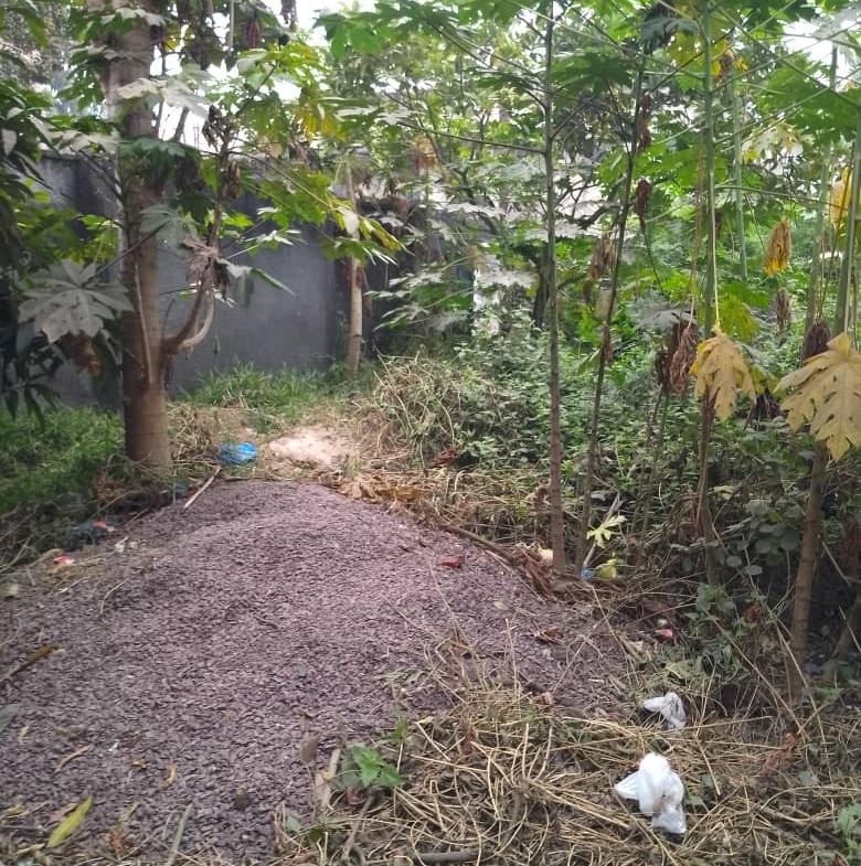Parcelle-Terrain à Vendre – Mont-Ngafula, Kinshasa