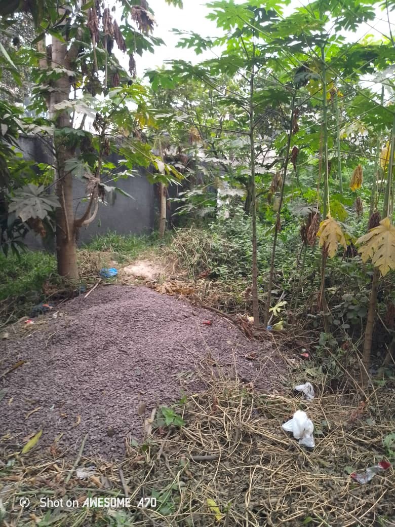 Parcelle-Terrain à Vendre – Mont-Ngafula, Kinshasa