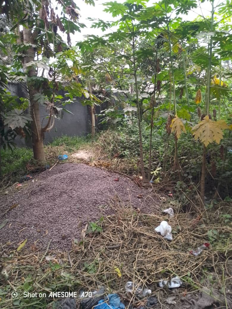 Parcelle-Terrain à Vendre – Mont-Ngafula, Kinshasa