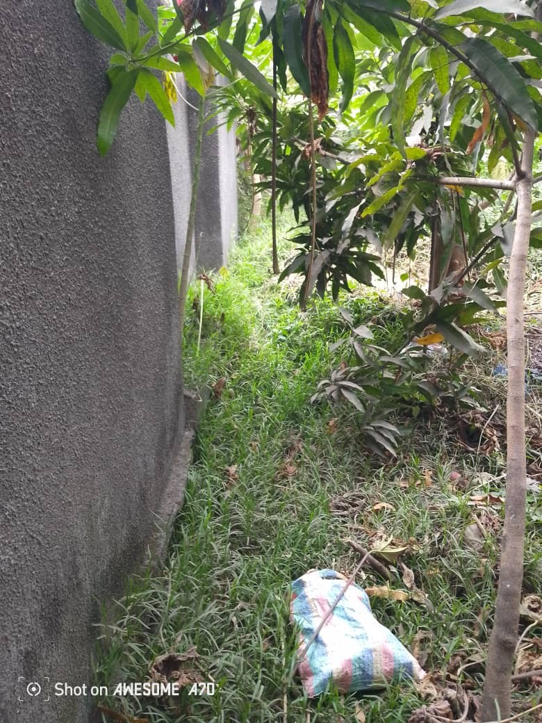 Parcelle-Terrain à Vendre – Mont-Ngafula, Kinshasa