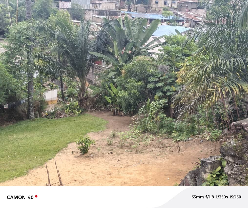Parcelle-Terrain à Vendre – Macampagne, Kinshasa