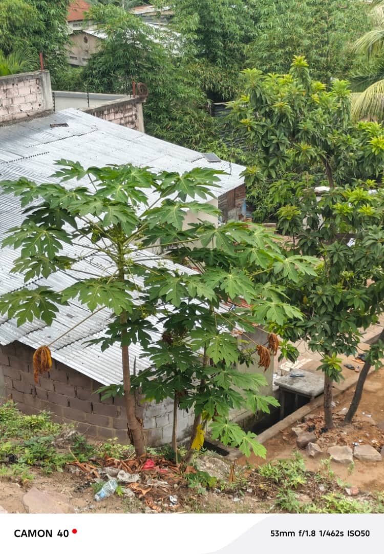 Parcelle-Terrain à Vendre – Macampagne, Kinshasa
