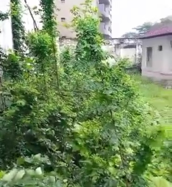 Parcelle-Terrain à Vendre – Gombe, Kinshasa