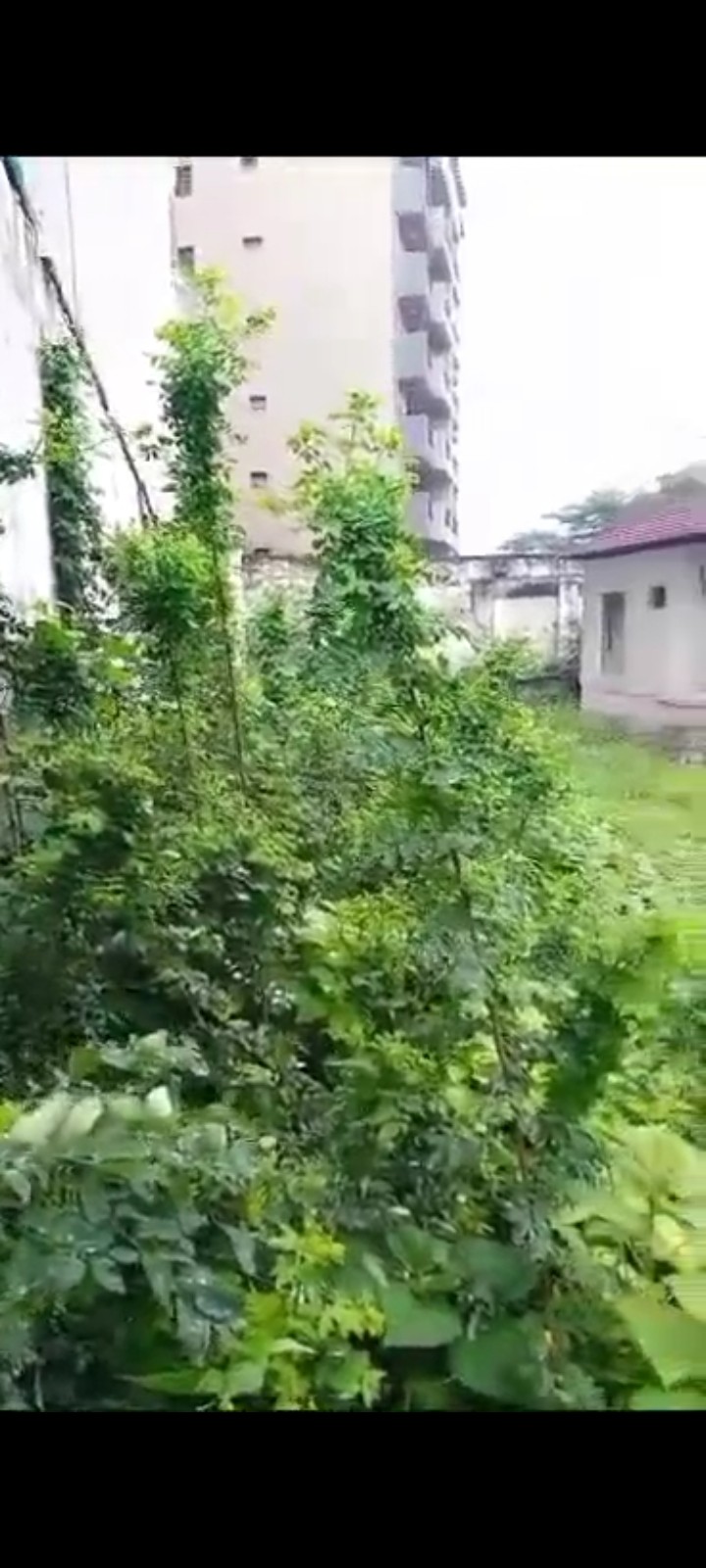 Parcelle-Terrain à Vendre – Gombe, Kinshasa