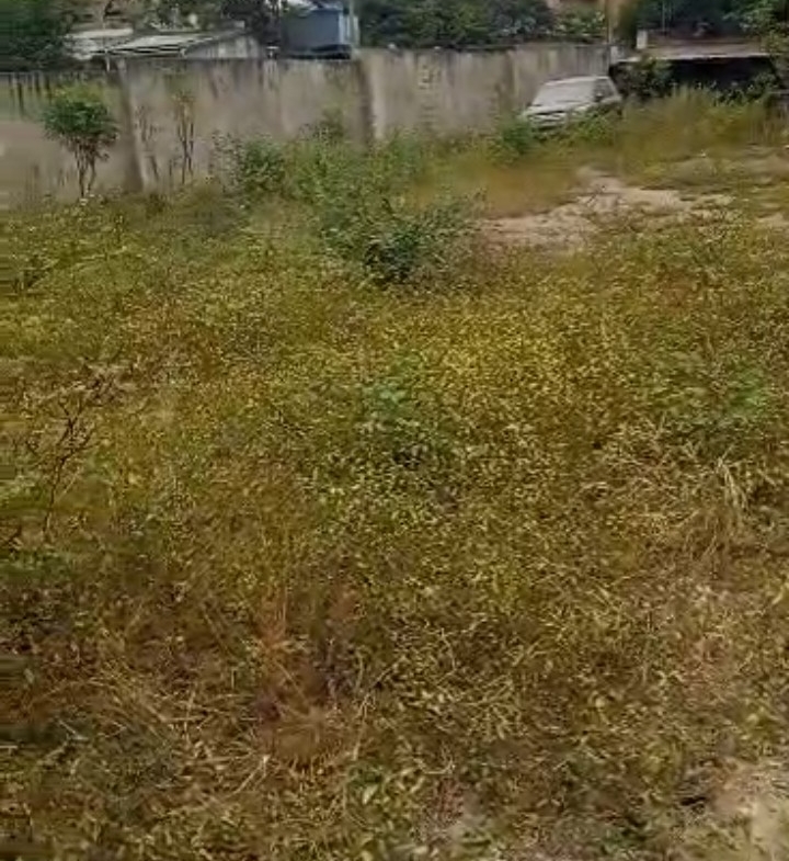 Parcelle-Terrain à Vendre – Macampagne, Kinshasa