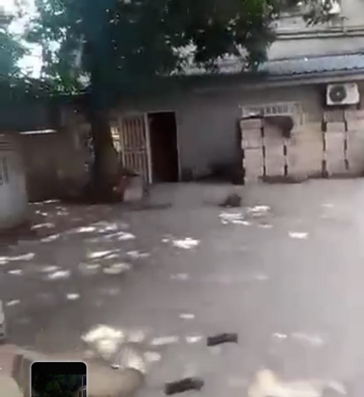 Ferme-Concession à Vendre – Limete, Kinshasa