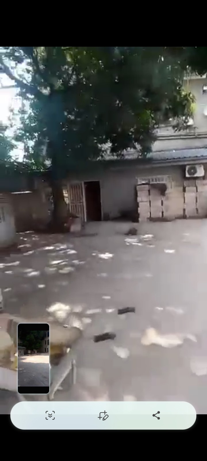 Ferme-Concession à Vendre – Limete, Kinshasa