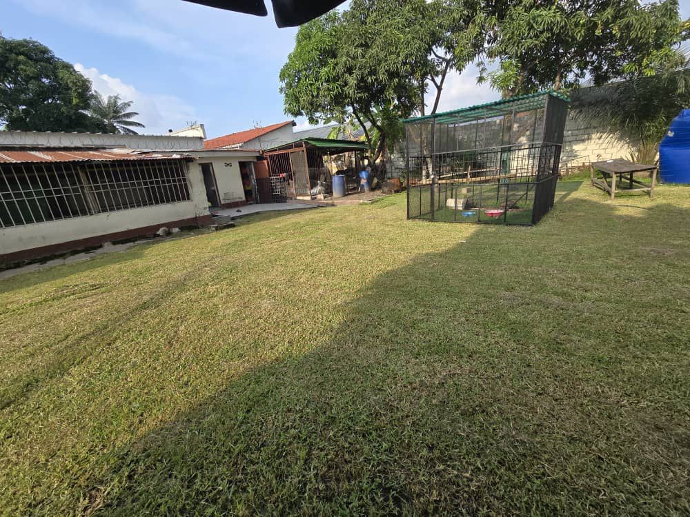 Parcelle-Terrain à Vendre – Macampagne, Kinshasa
