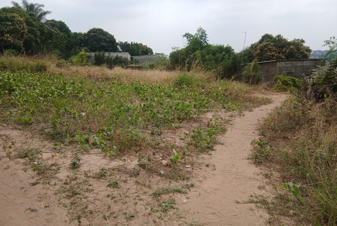 Parcelle-Terrain à Vendre – Mikondo, Kinshasa