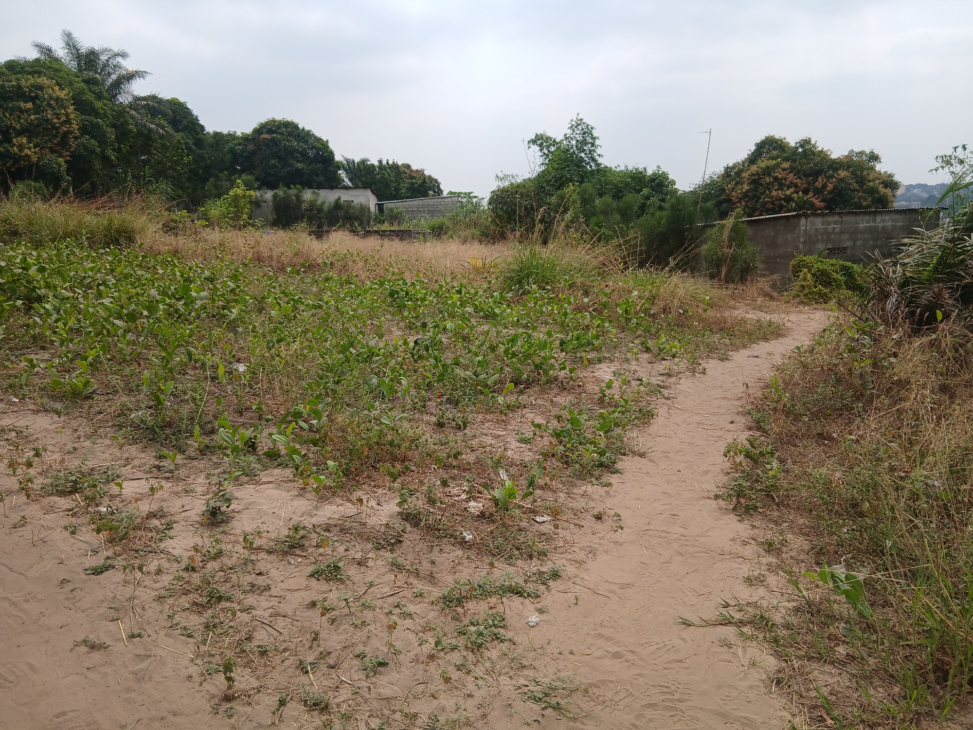 Parcelle-Terrain à Vendre – Mikondo, Kinshasa