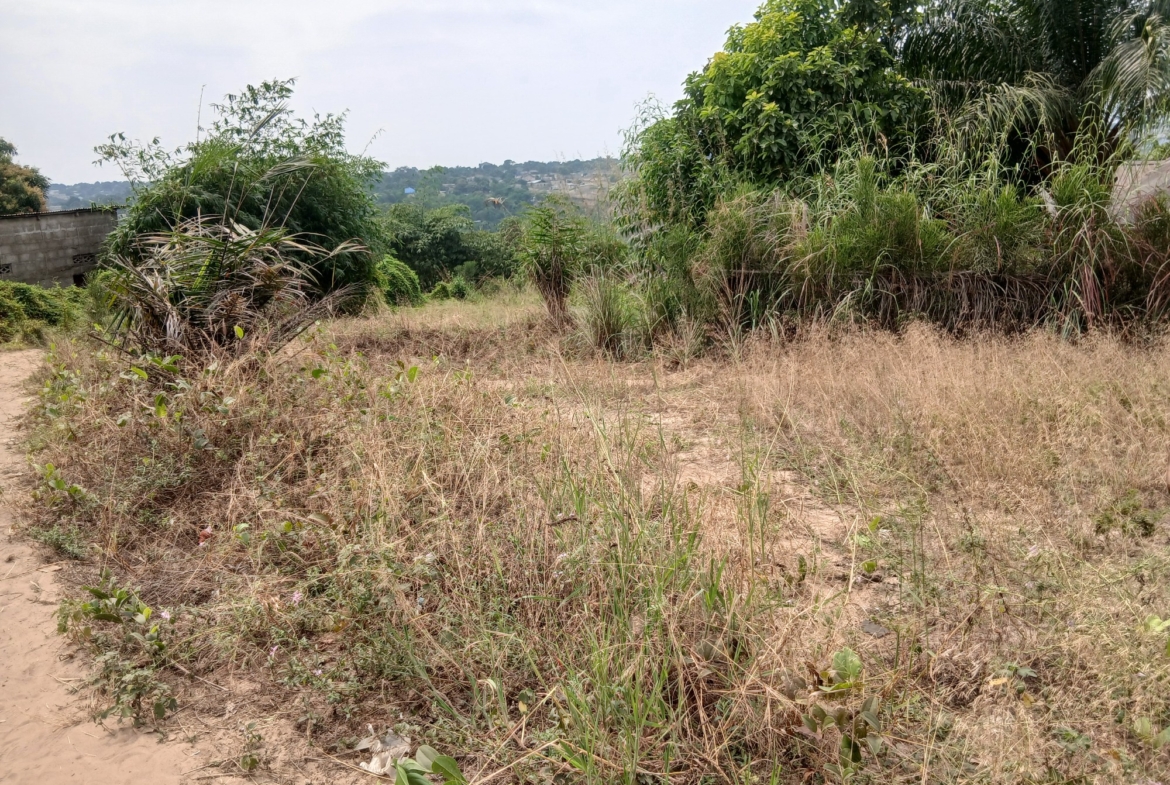 Parcelle-Terrain à Vendre – Mikondo, Kinshasa