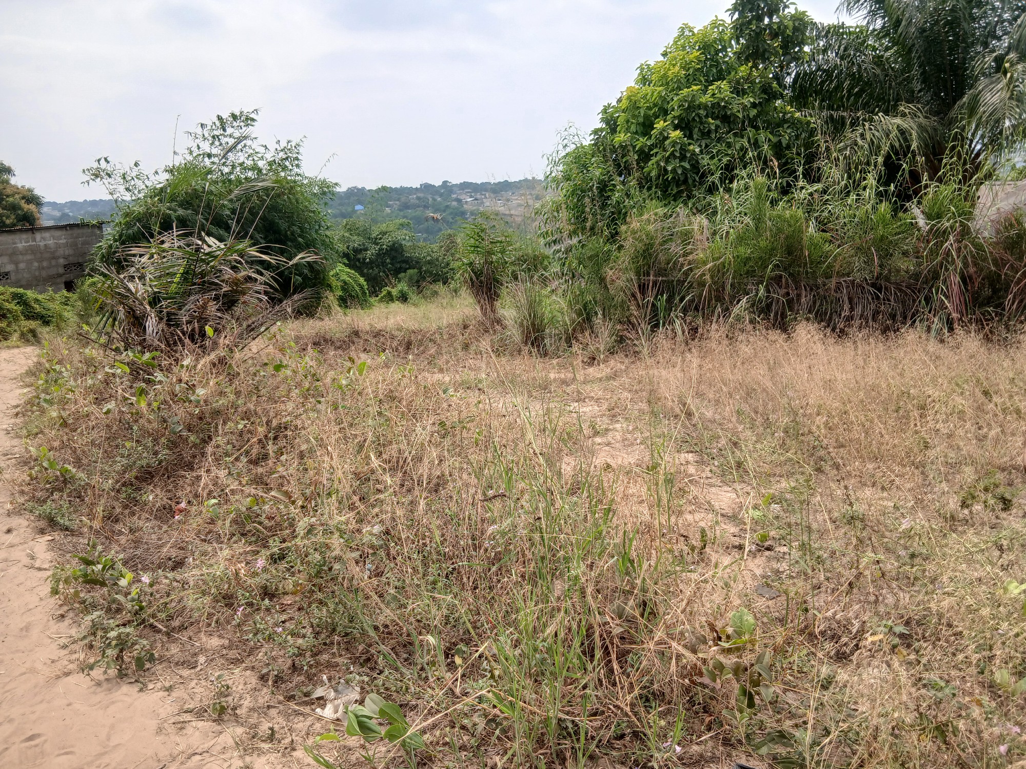 Parcelle-Terrain à Vendre – Mikondo, Kinshasa