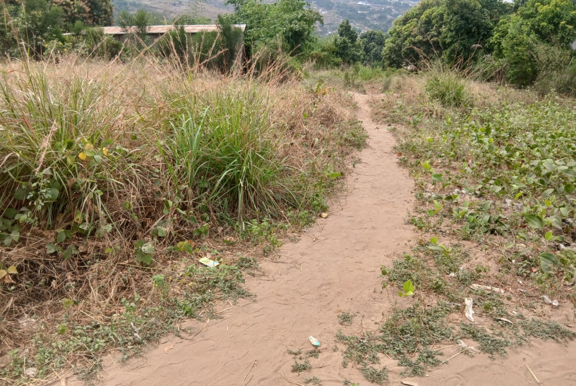 Parcelle-Terrain à Vendre – Mikondo, Kinshasa