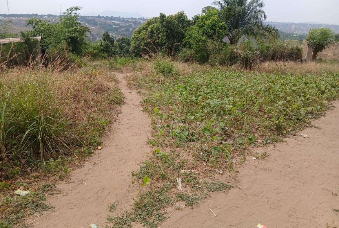Parcelle-Terrain à Vendre – Mikondo, Kinshasa