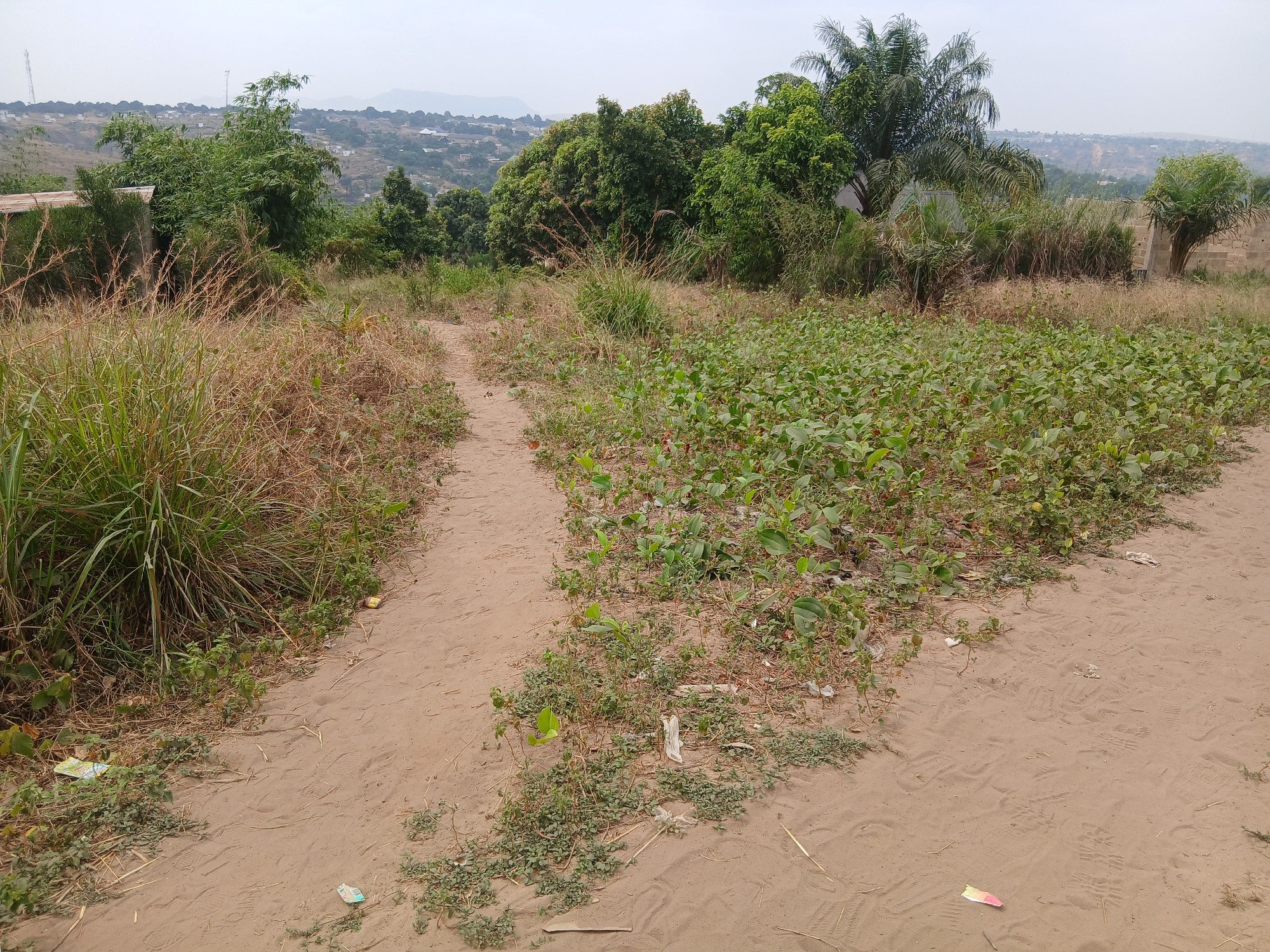 Parcelle-Terrain à Vendre – Mikondo, Kinshasa