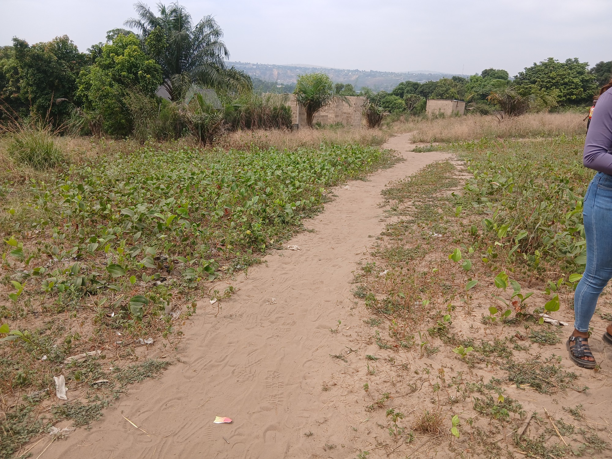 Parcelle-Terrain à Vendre – Mikondo, Kinshasa