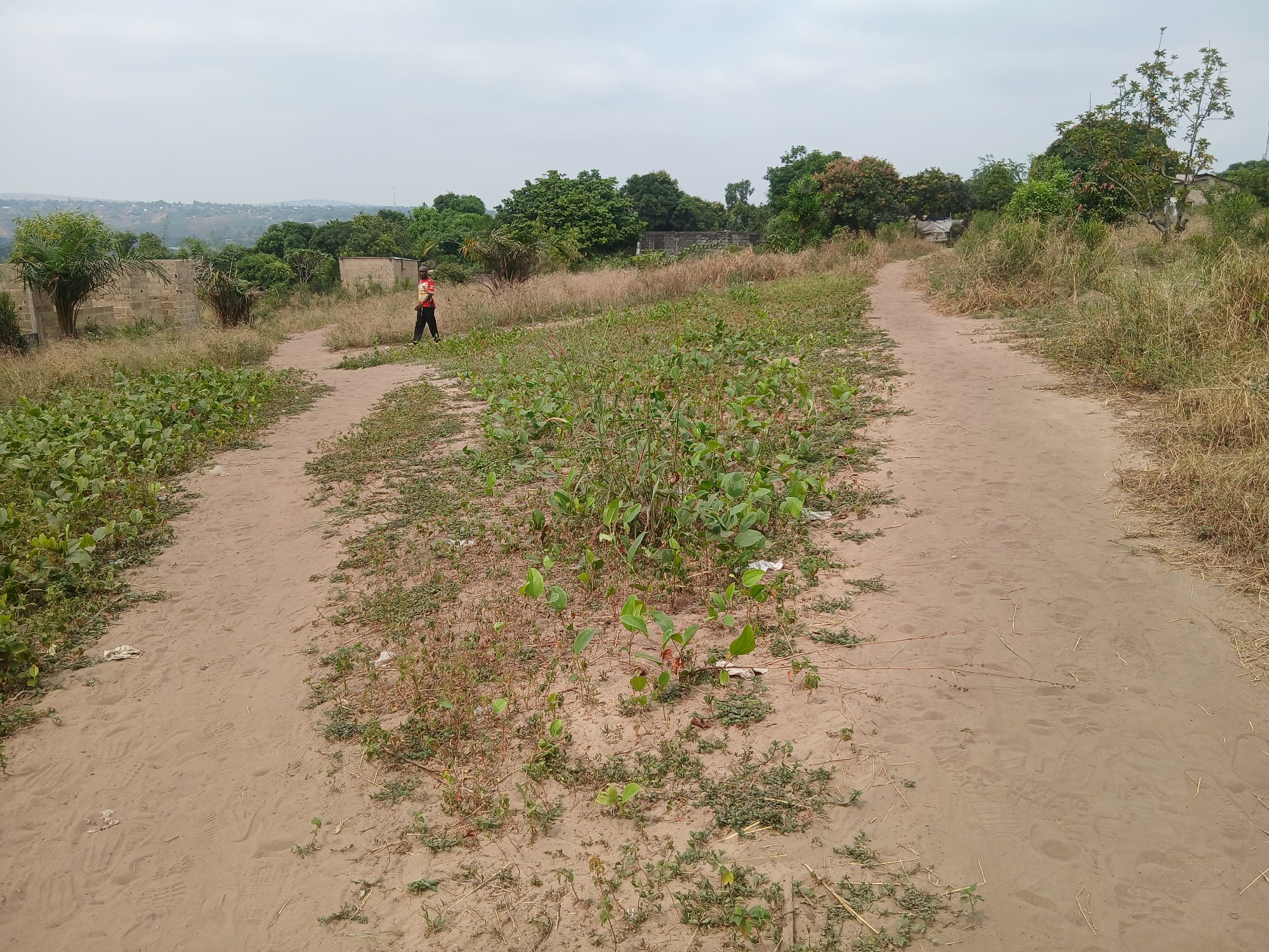 Parcelle-Terrain à Vendre – Mikondo, Kinshasa