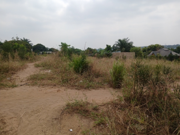 Parcelle-terrain à vendre – mikondo, kinshasa