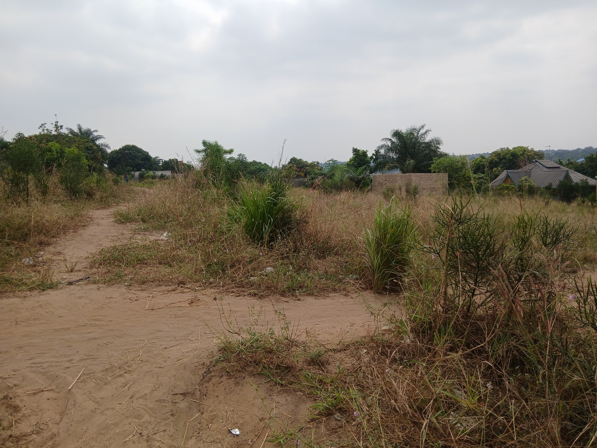 Parcelle-Terrain à Vendre – Mikondo, Kinshasa