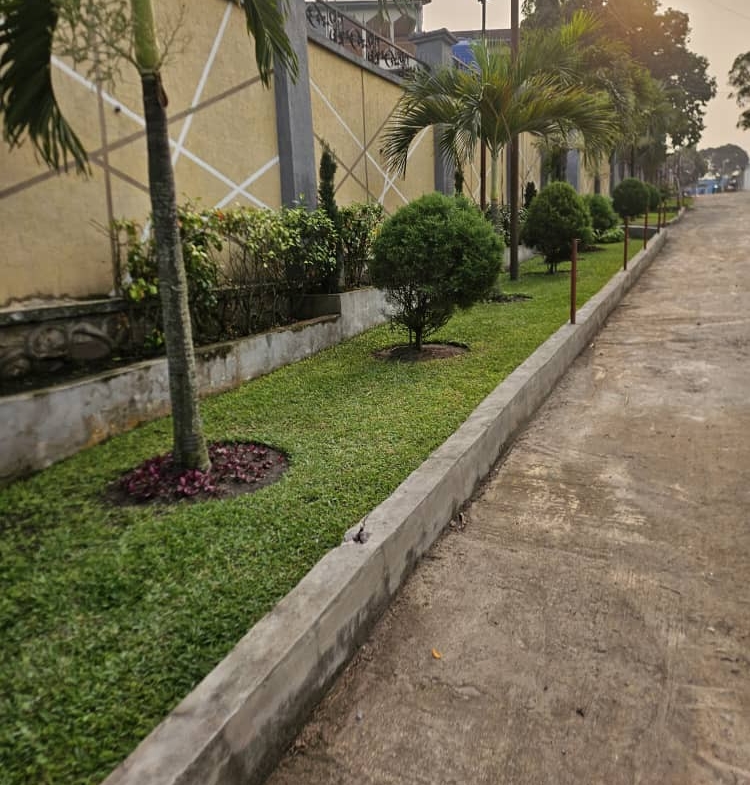 Toute la parcelle mis en location dans la commune de Ngaliema quartier Météo
