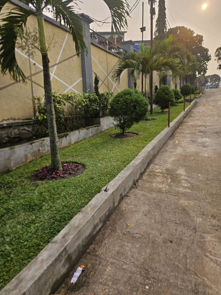 Toute la parcelle mis en location dans la commune de Ngaliema quartier Météo
