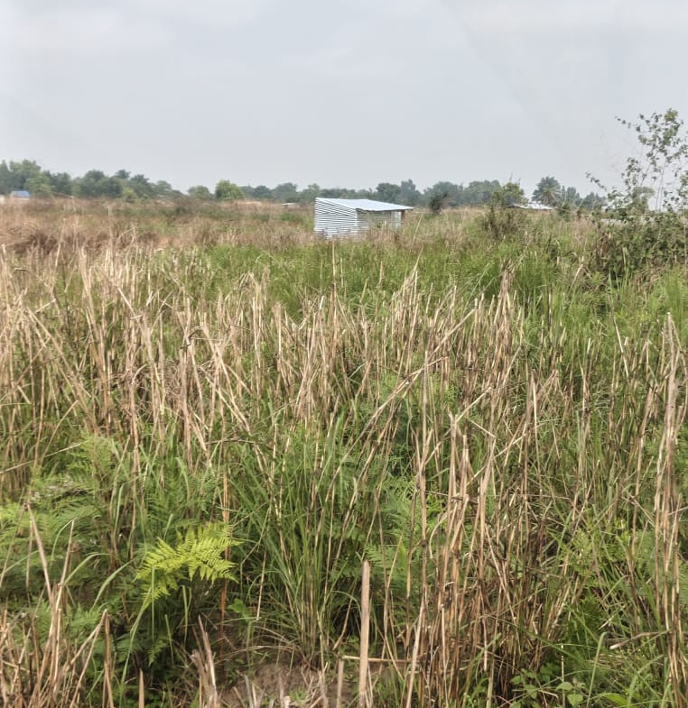 Parcelle-Terrain à Vendre – Maluku, Kinshasa
