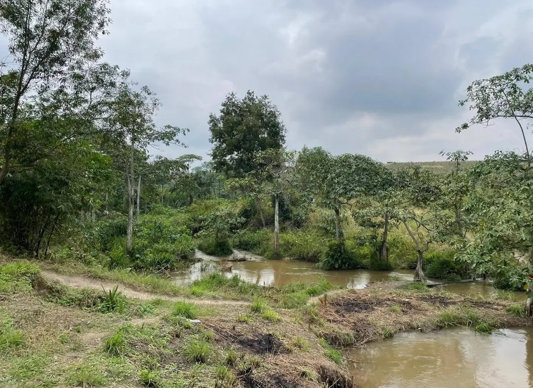 Parcelle-Terrain à Vendre – N’Sele, Kinshasa