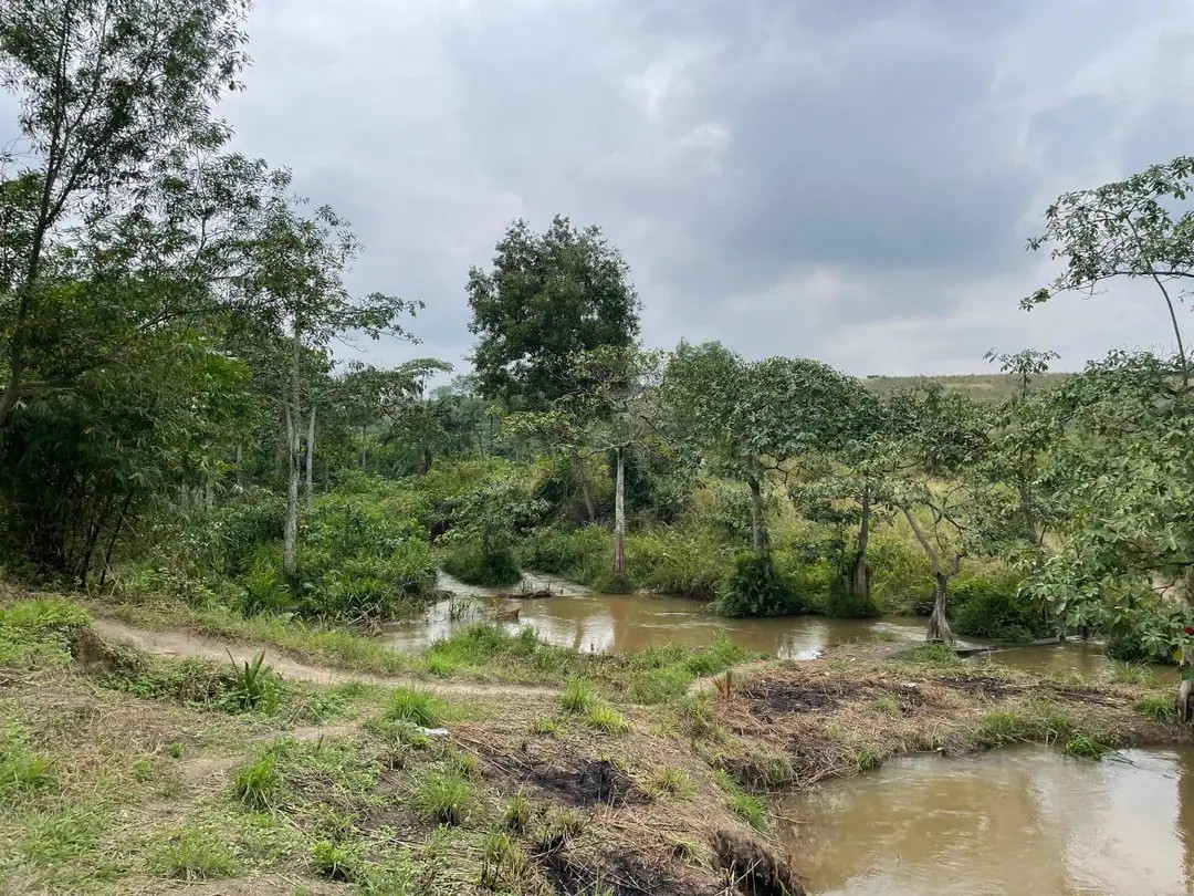 scaled_1006557850 Parcelle-Terrain à Vendre – N’Sele, Kinshasa