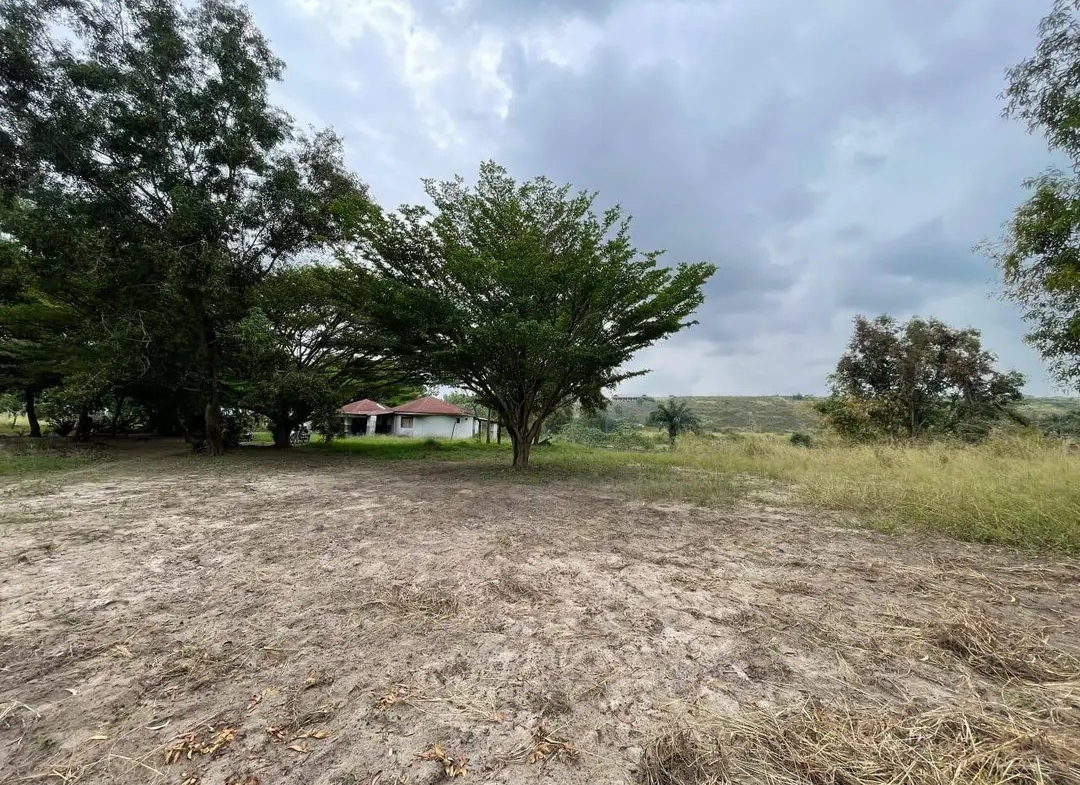 Parcelle-Terrain à Vendre – N’Sele, Kinshasa