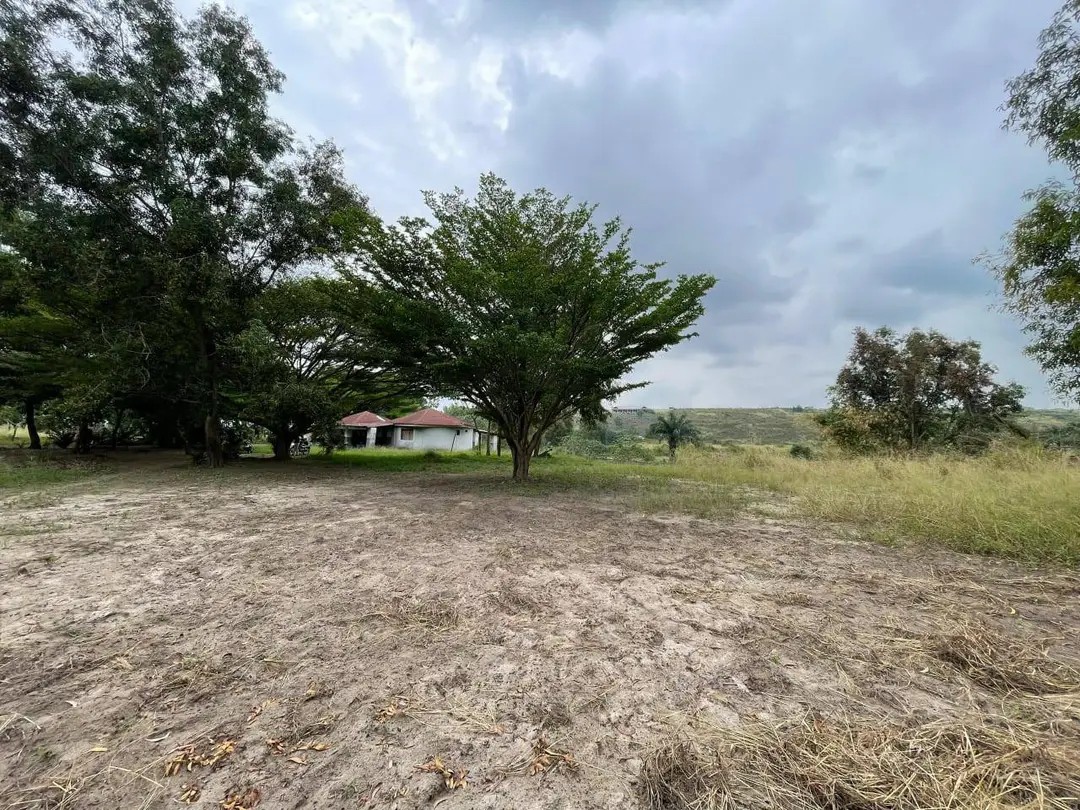 scaled_1006557851 Parcelle-Terrain à Vendre – N’Sele, Kinshasa