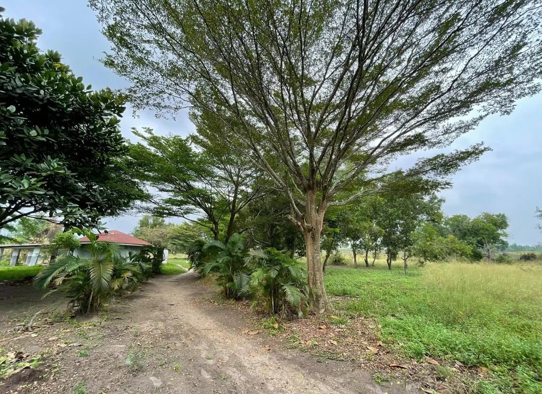Parcelle-Terrain à Vendre – N’Sele, Kinshasa